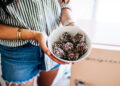 10 nice pre-workout snacks – The Fitnessista