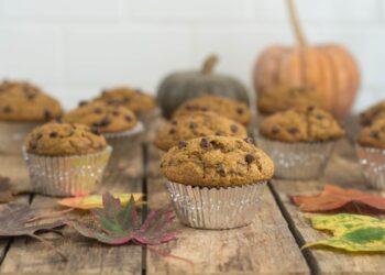 Pumpkin Chocolate Chip Muffins (Bakery-Model Measurement!)