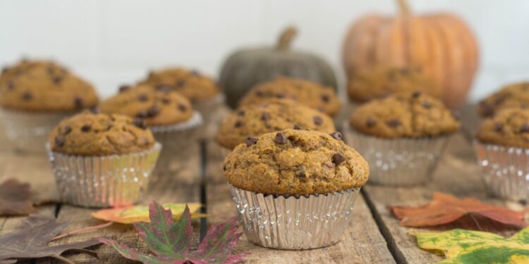 Pumpkin Chocolate Chip Muffins (Bakery-Model Measurement!)