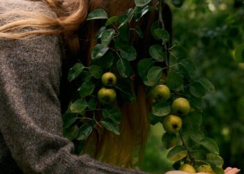 Fall Snacks for Higher Power