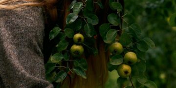 Fall Snacks for Higher Power