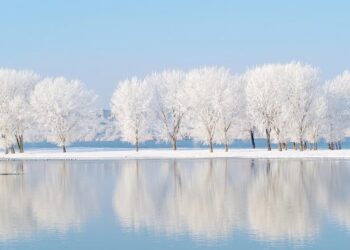 Inspirational, Humorous and Completely satisfied Sayings