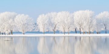 Inspirational, Humorous and Completely satisfied Sayings