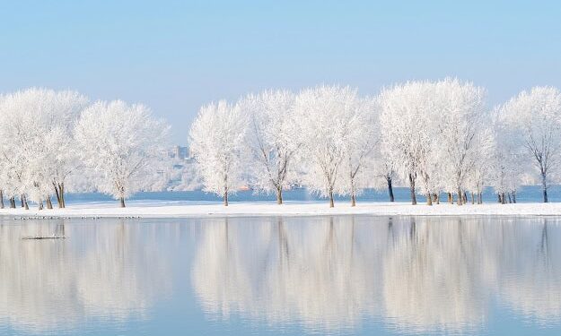 Inspirational, Humorous and Completely satisfied Sayings