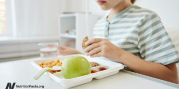 Plant-Primarily based Hospital Menus