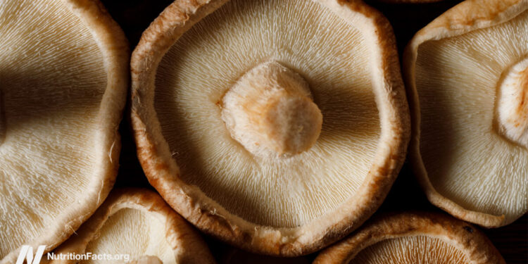 Most cancers Survival and Medicinal Mushrooms