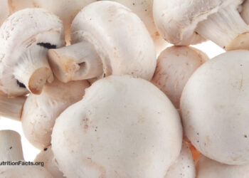 Prostate Most cancers and Mushrooms