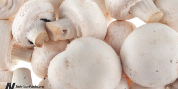 Prostate Most cancers and Mushrooms