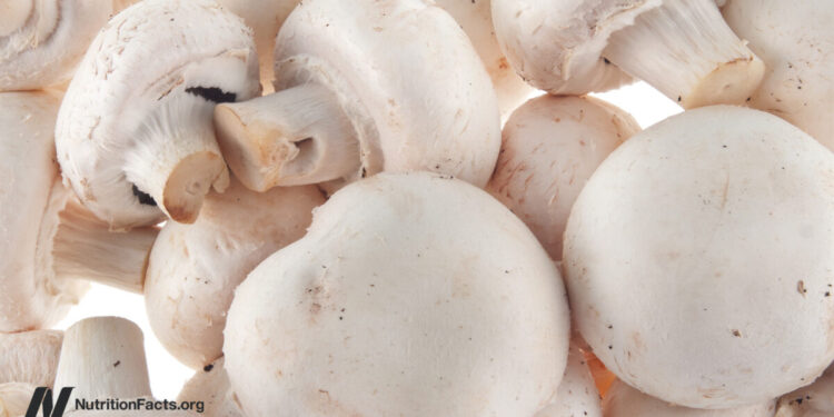 Prostate Most cancers and Mushrooms