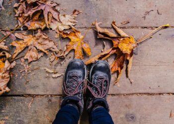 Fall Again Into Steadiness