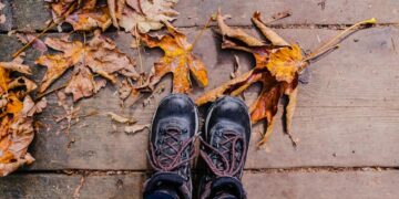 Fall Again Into Steadiness