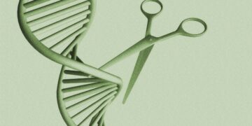 Can a One-Time Gene Remedy Decrease Ldl cholesterol?