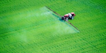 EPA Is Embracing PFAS Pesticides. These Are The Well being Dangers