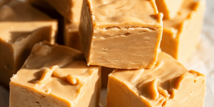 Wholesome Vegan Peanut Butter Protein Fudge