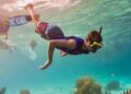 These Are The 7 Greatest Instructional Summer time Camps With Snorkeling And Crusing Actions