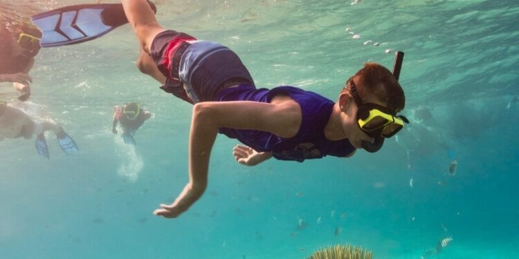 These Are The 7 Greatest Instructional Summer time Camps With Snorkeling And Crusing Actions