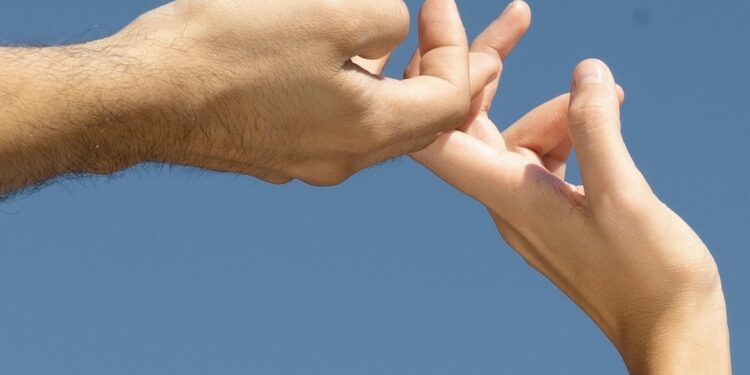 Are Berberine and Fiber the Final GLP-1 Powerhouse Pairing?