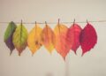 6 Fast Inquiries to Assist You Deal with What Actually Issues This Fall and Winter