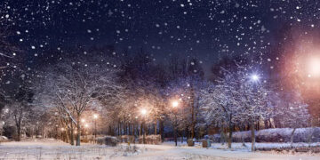 101 Quick Winter Quotes for a Optimistic, Completely happy and Much less Hectic Season