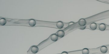 What are Peptides? We Clarify This Overwhelming “Development”