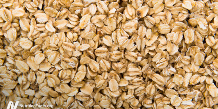 Mildew Toxins in Cereals, Herbs, Spices, and Wine