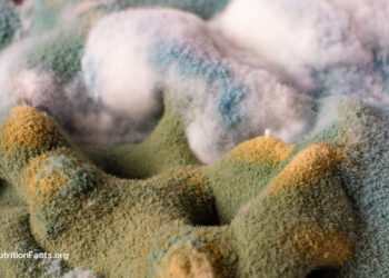 Are the Results of Ochratoxin Regarding?