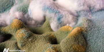 Are the Results of Ochratoxin Regarding?