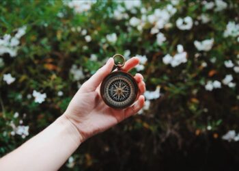 Ought to You Rent a Tax Professional, or Go It Alone?