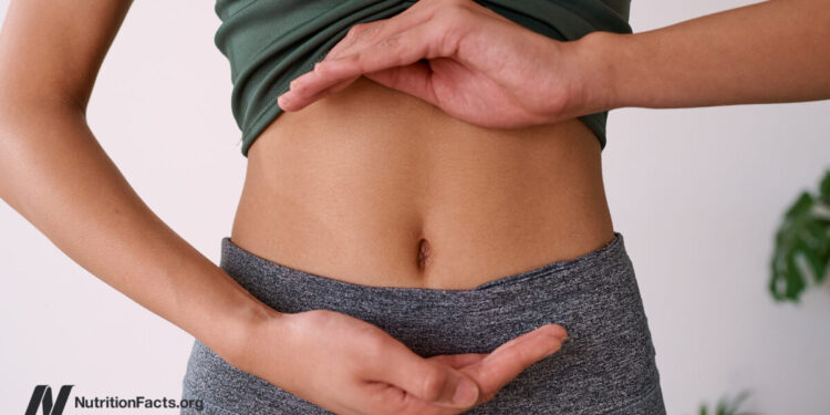 Can Vegan Fecal Transplants Decrease TMAO Ranges?