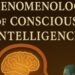 The Phenomenology of Aware Intelligence