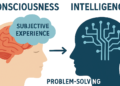The Relationship Between Consciousness and Intelligence