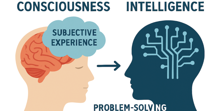 The Relationship Between Consciousness and Intelligence