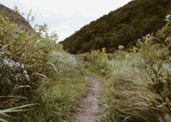 Evaluating Whether or not It is Time for a Change