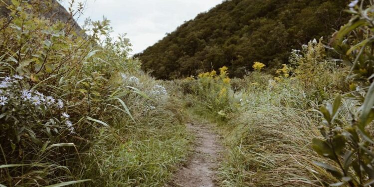 Evaluating Whether or not It is Time for a Change