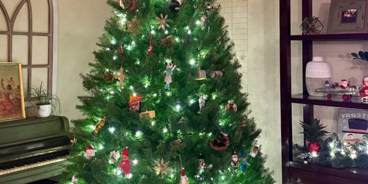 12.6 Friday Faves – The Fitnessista