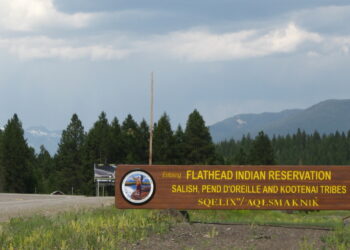 Regardless of SNAP’s return, indigenous Individuals nonetheless wrestle with meals insecurity : Photographs