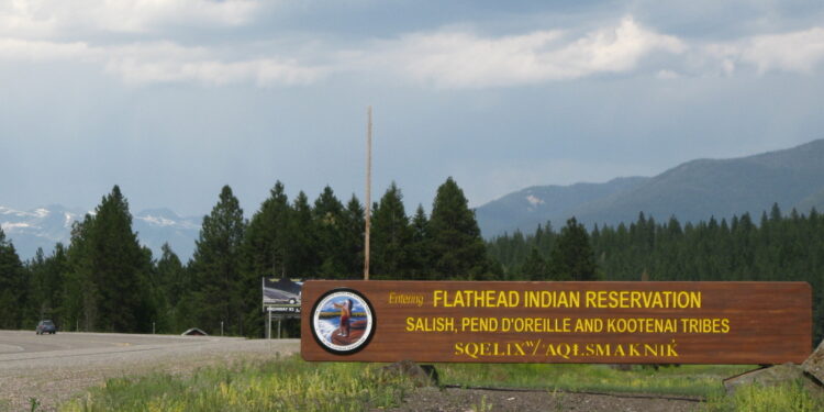 Regardless of SNAP’s return, indigenous Individuals nonetheless wrestle with meals insecurity : Photographs