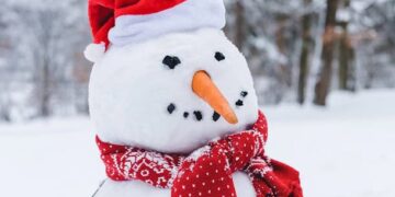 120 Humorous Christmas Quotes for Your Mates, Household and Instagram (and Much less Stress)