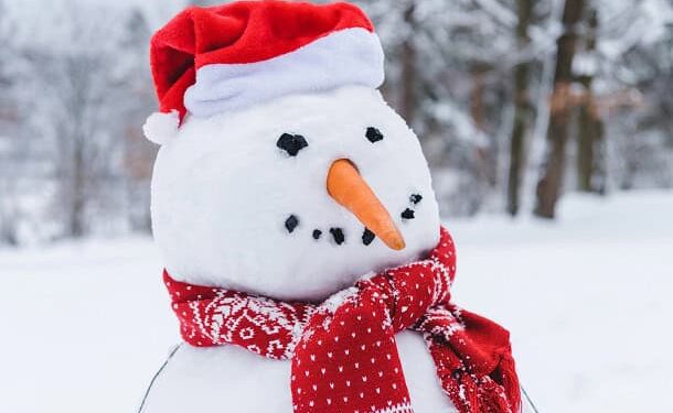 120 Humorous Christmas Quotes for Your Mates, Household and Instagram (and Much less Stress)