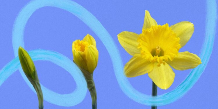 10 Nudge Phrases to Undertake in 2026