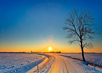 Motivational and Humorous Sayings for a Blissful Month