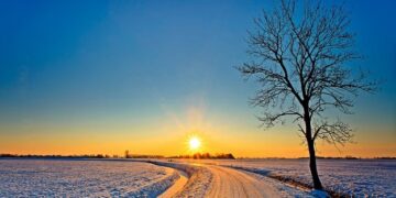 Motivational and Humorous Sayings for a Blissful Month