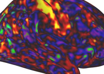 ADHD medicine could increase arousal greater than consideration : Pictures