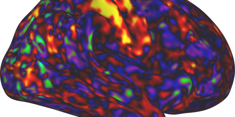 ADHD medicine could increase arousal greater than consideration : Pictures