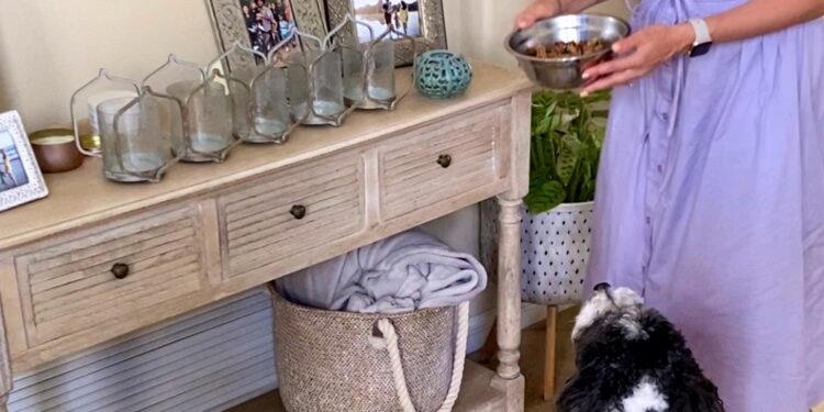 Wholesome home made pet food recipe