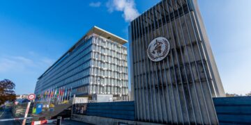 What the U.S.’ Withdrawal from the WHO Means for Public Well being