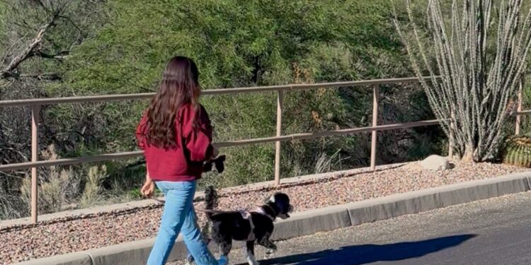 Low-Effort Wellness Habits That Truly Make a Distinction