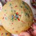 Large Protein Sugar Cookie (Mushy & Chewy)