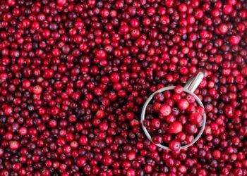 TikTok’s Viral Cranberry Recips for Winter