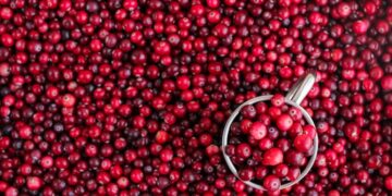 TikTok’s Viral Cranberry Recips for Winter